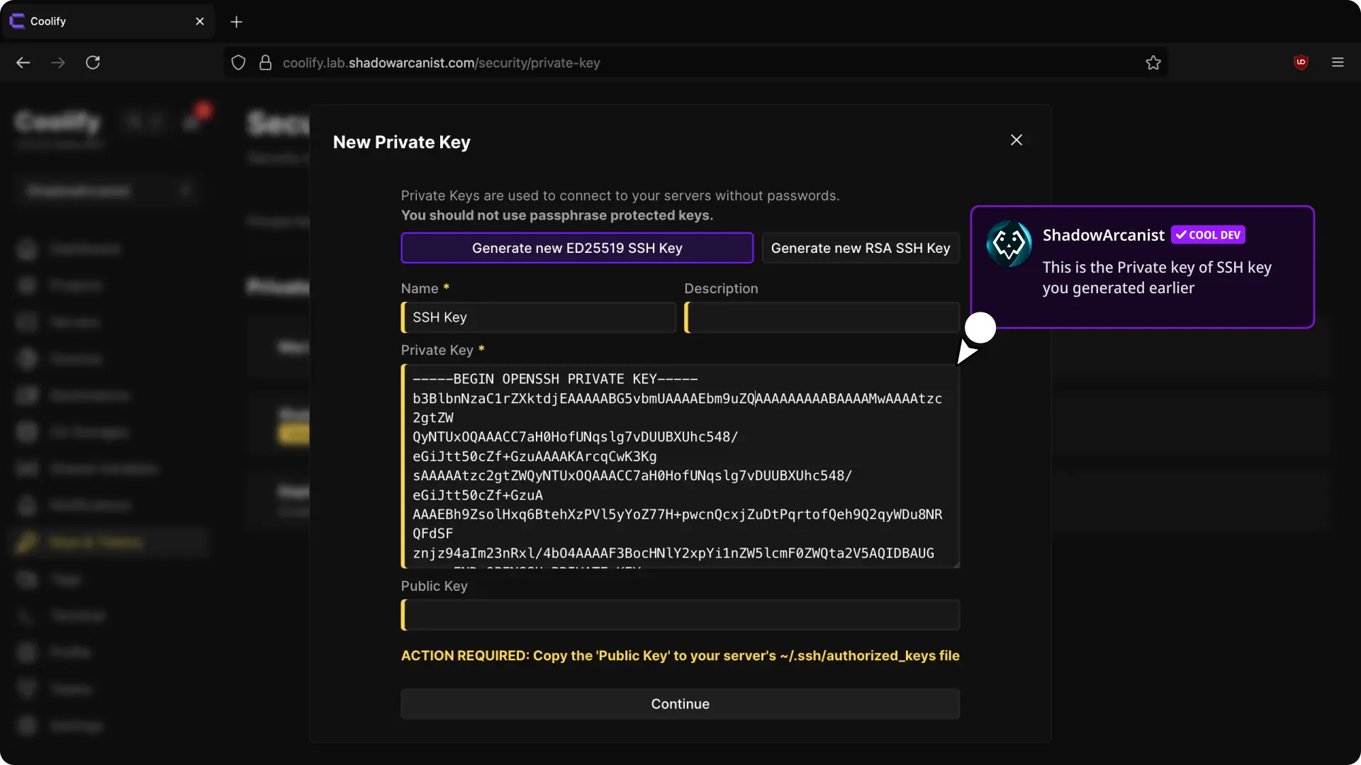 Colar a chave privada